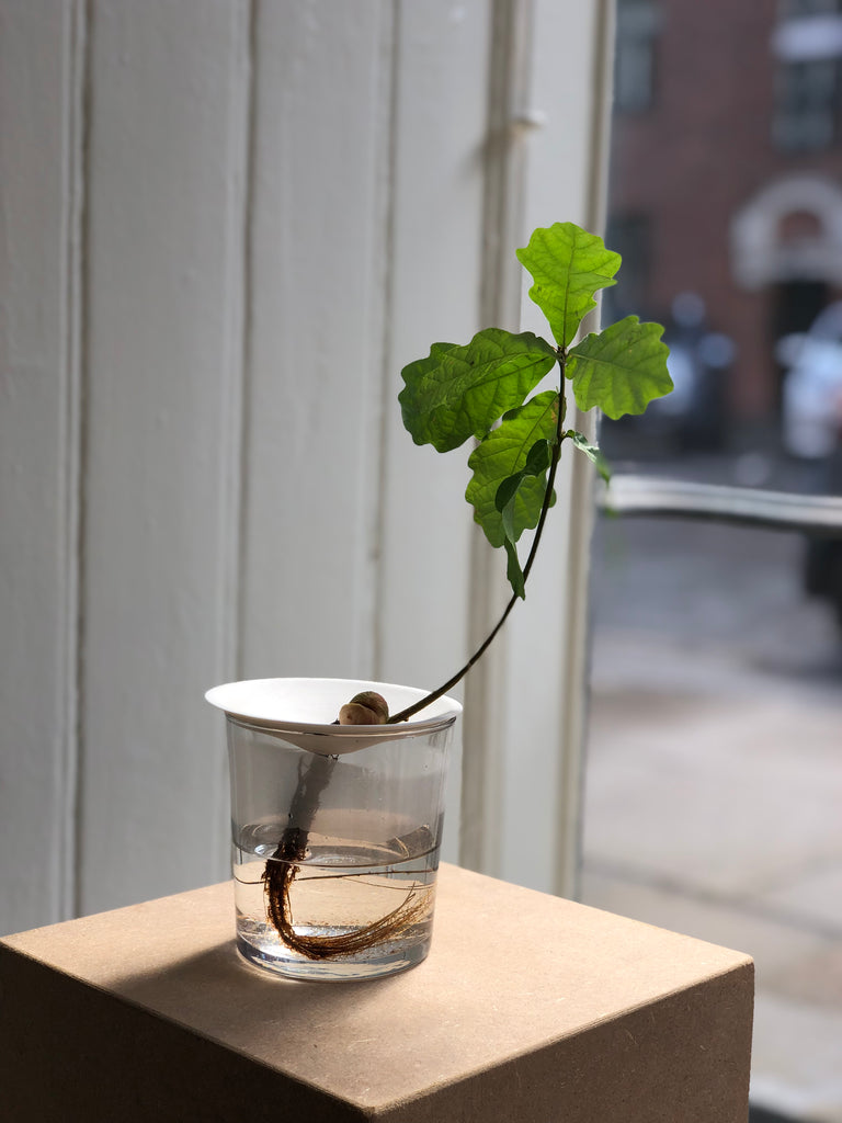 PLANT ACCESSORIES