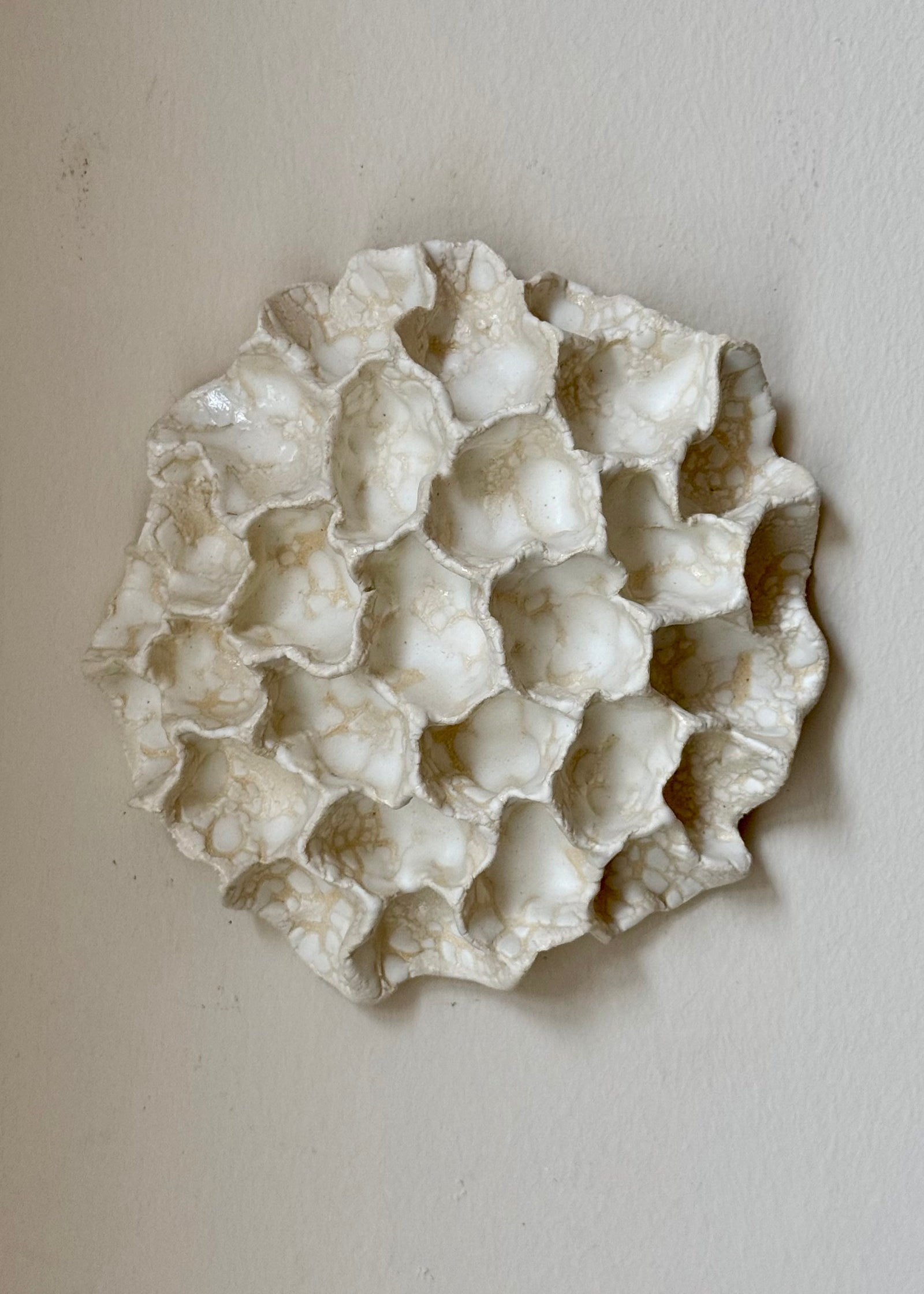 Clay by Bond - Wall coral
