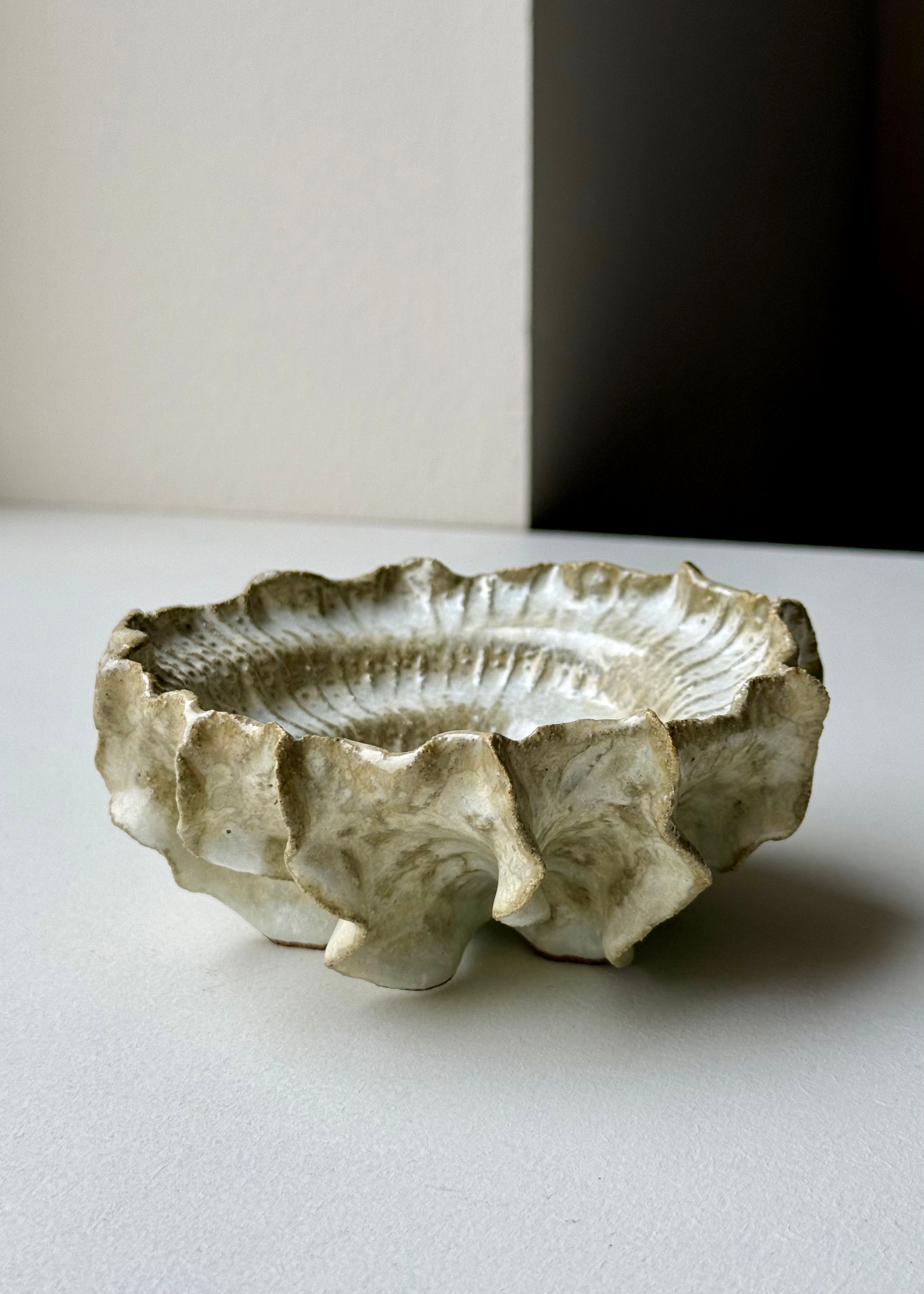 Clay by Bond - Ammonite bowl
