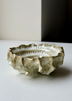 Clay by Bond - Ammonite bowl