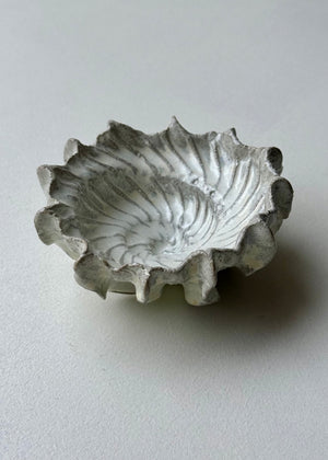 Clay by Bond - Ammonite bowl