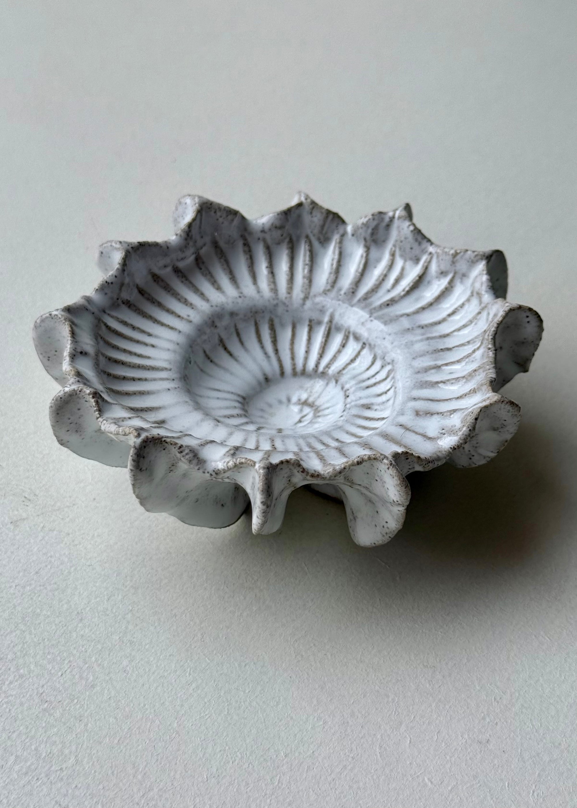 Clay by Bond - Ammonite bowl