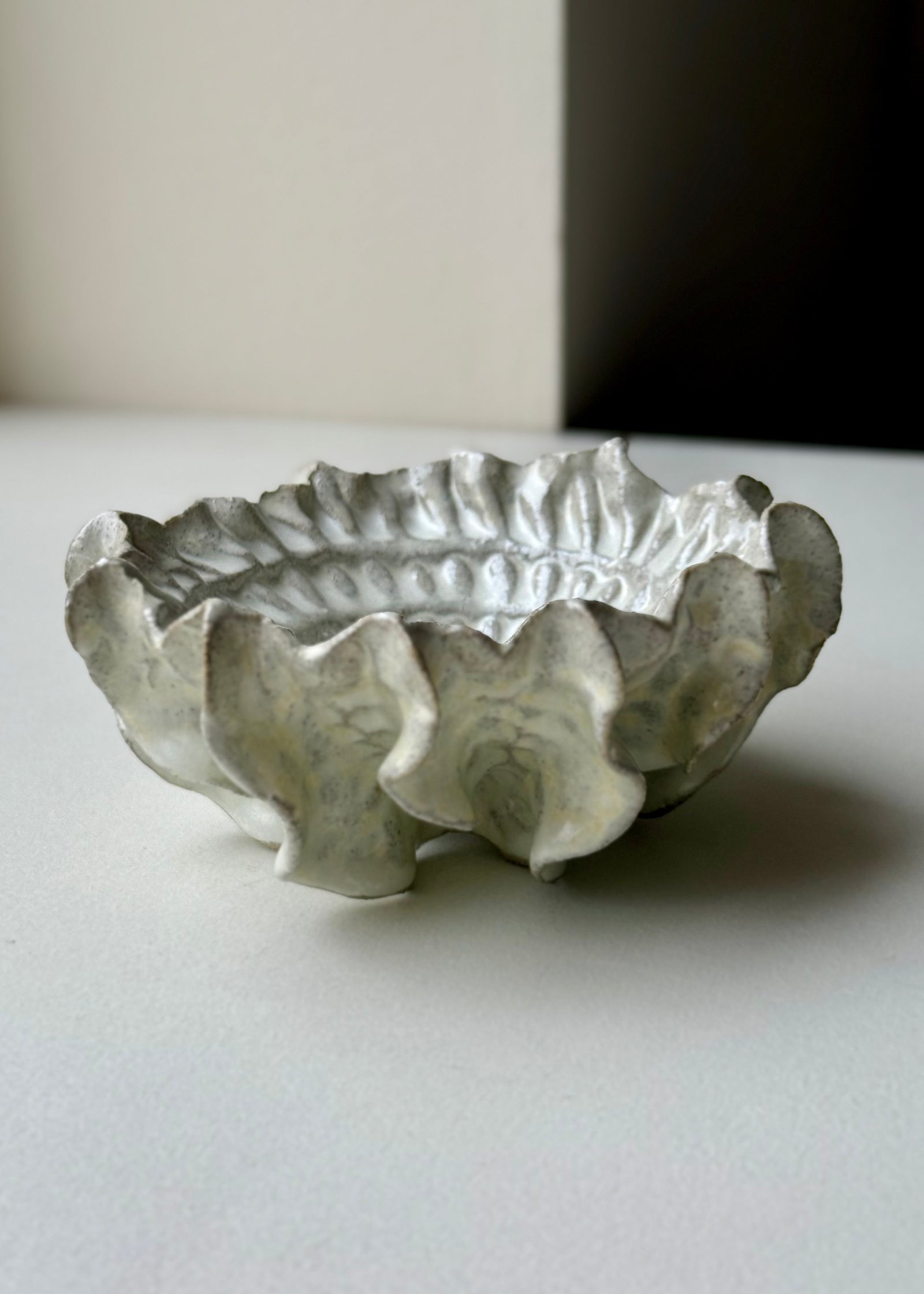 Clay by Bond - Ammonite bowl