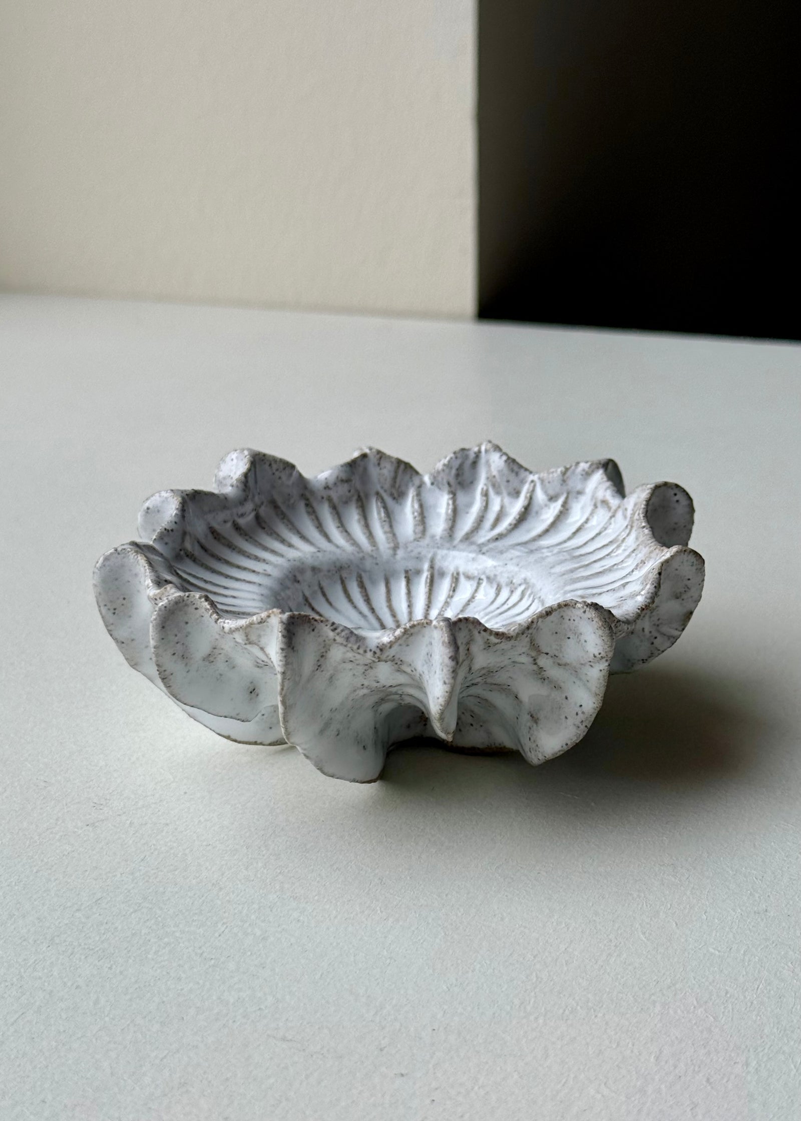Clay by Bond - Ammonite bowl
