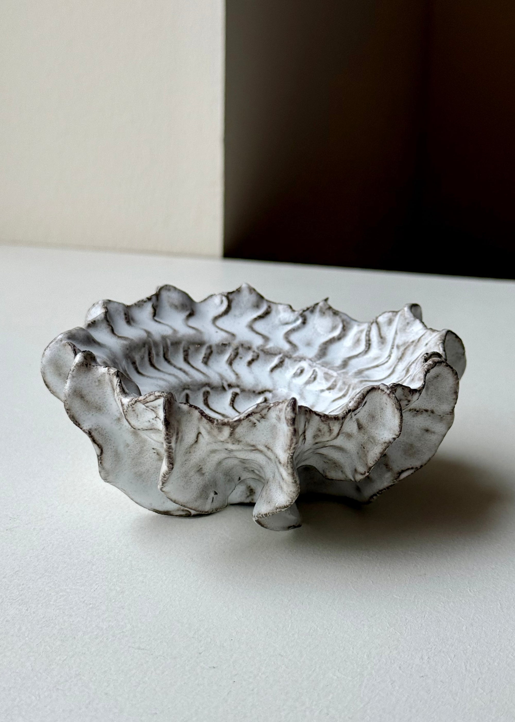Clay by Bond - Ammonite bowl