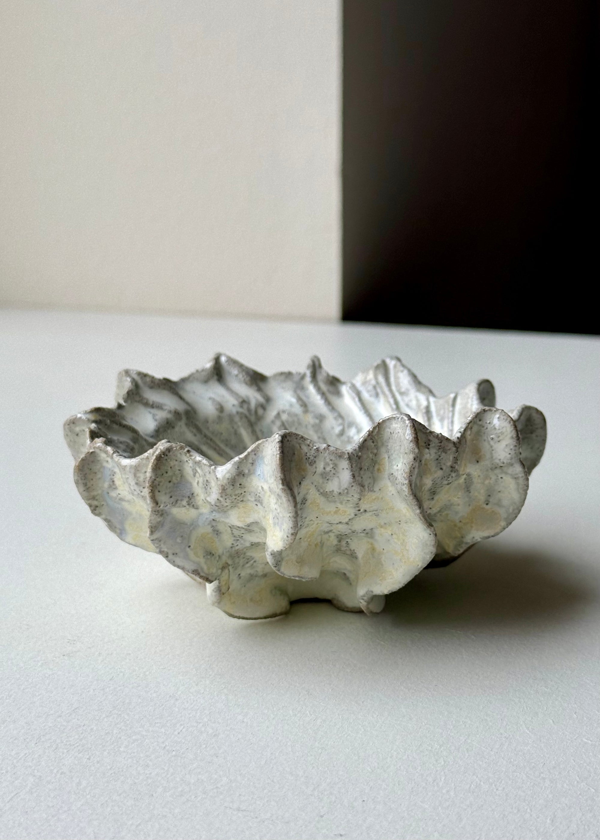 Clay by Bond - Ammonite bowl