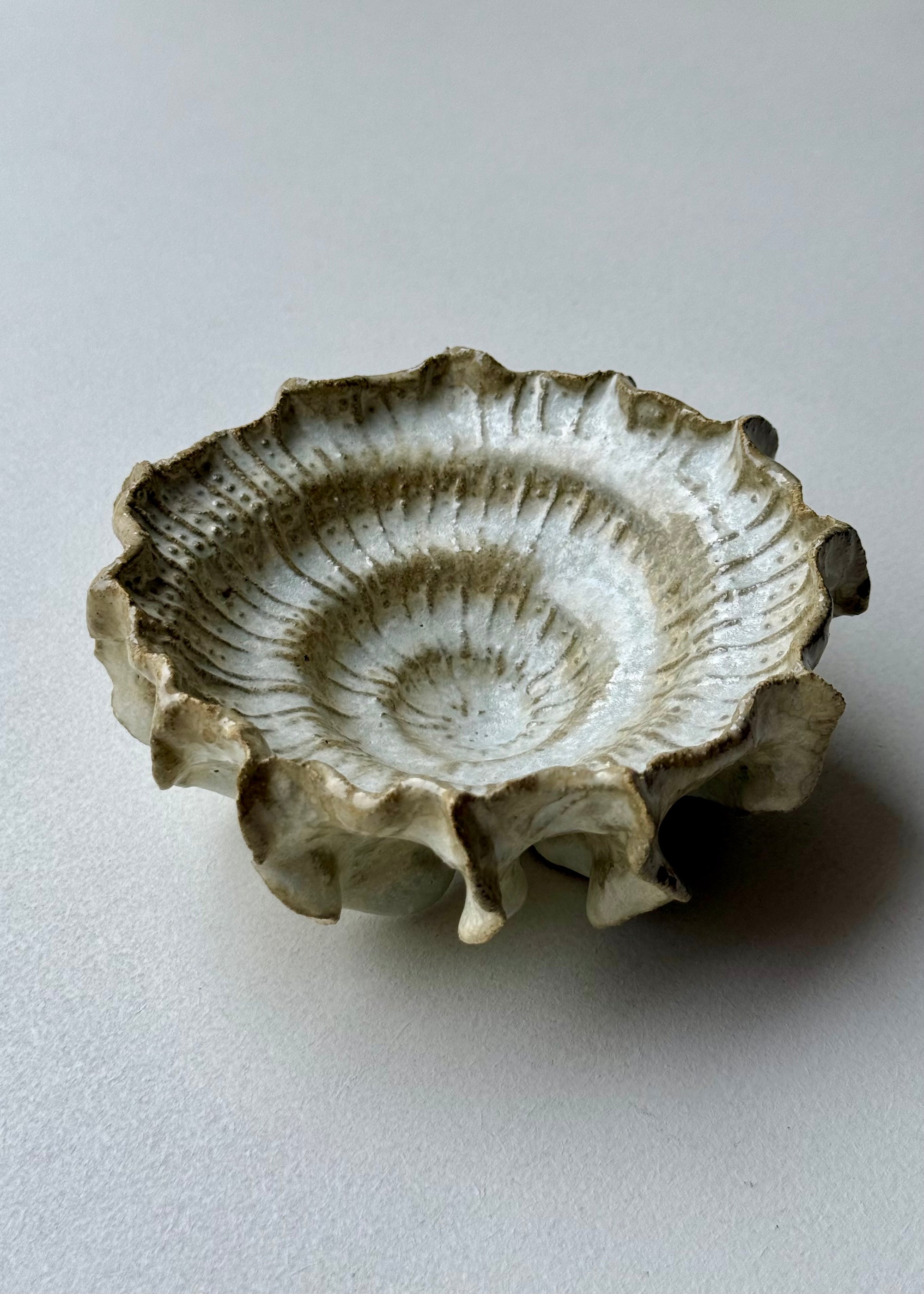 Clay by Bond - Ammonite bowl