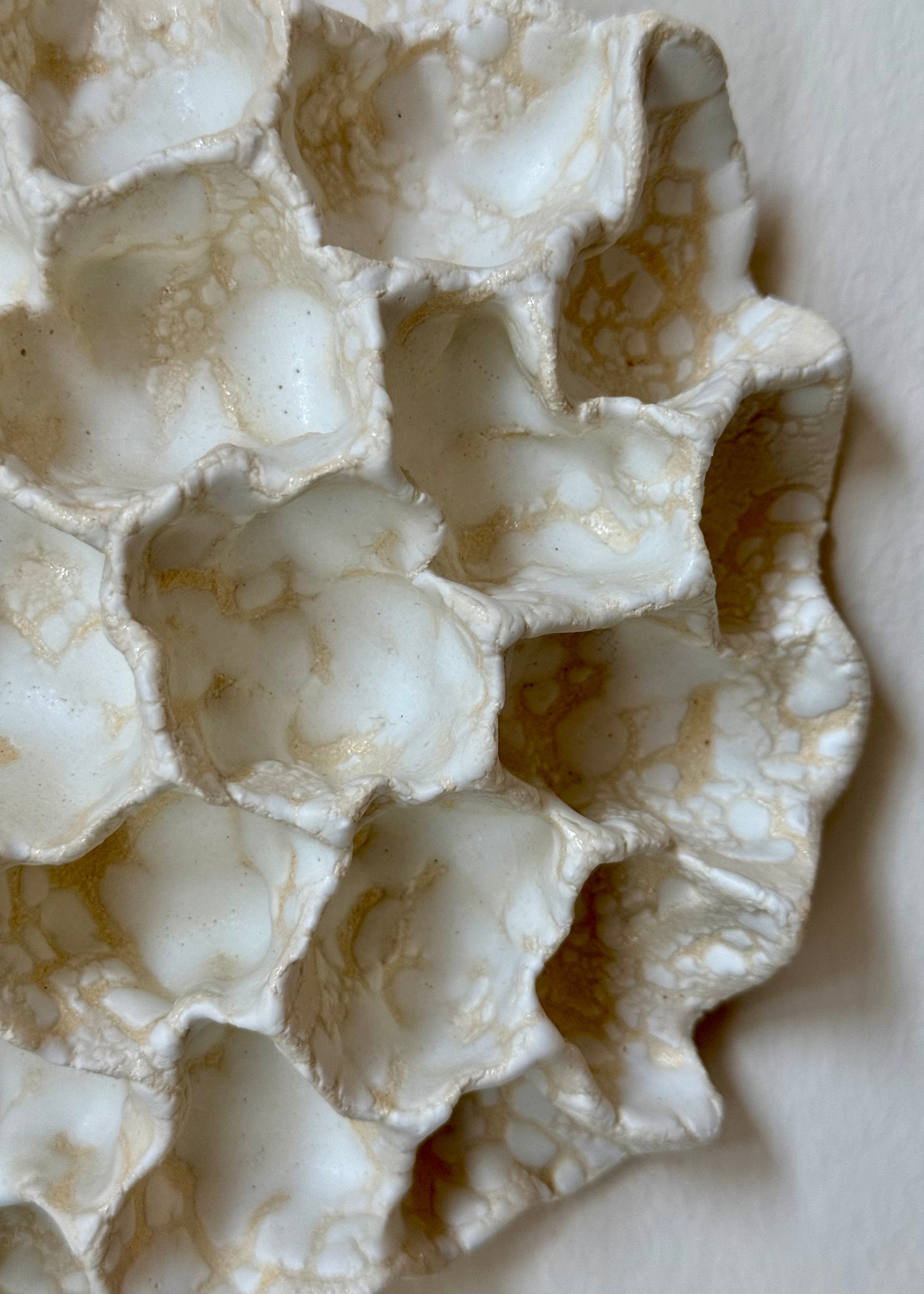 Clay by Bond - Wall coral