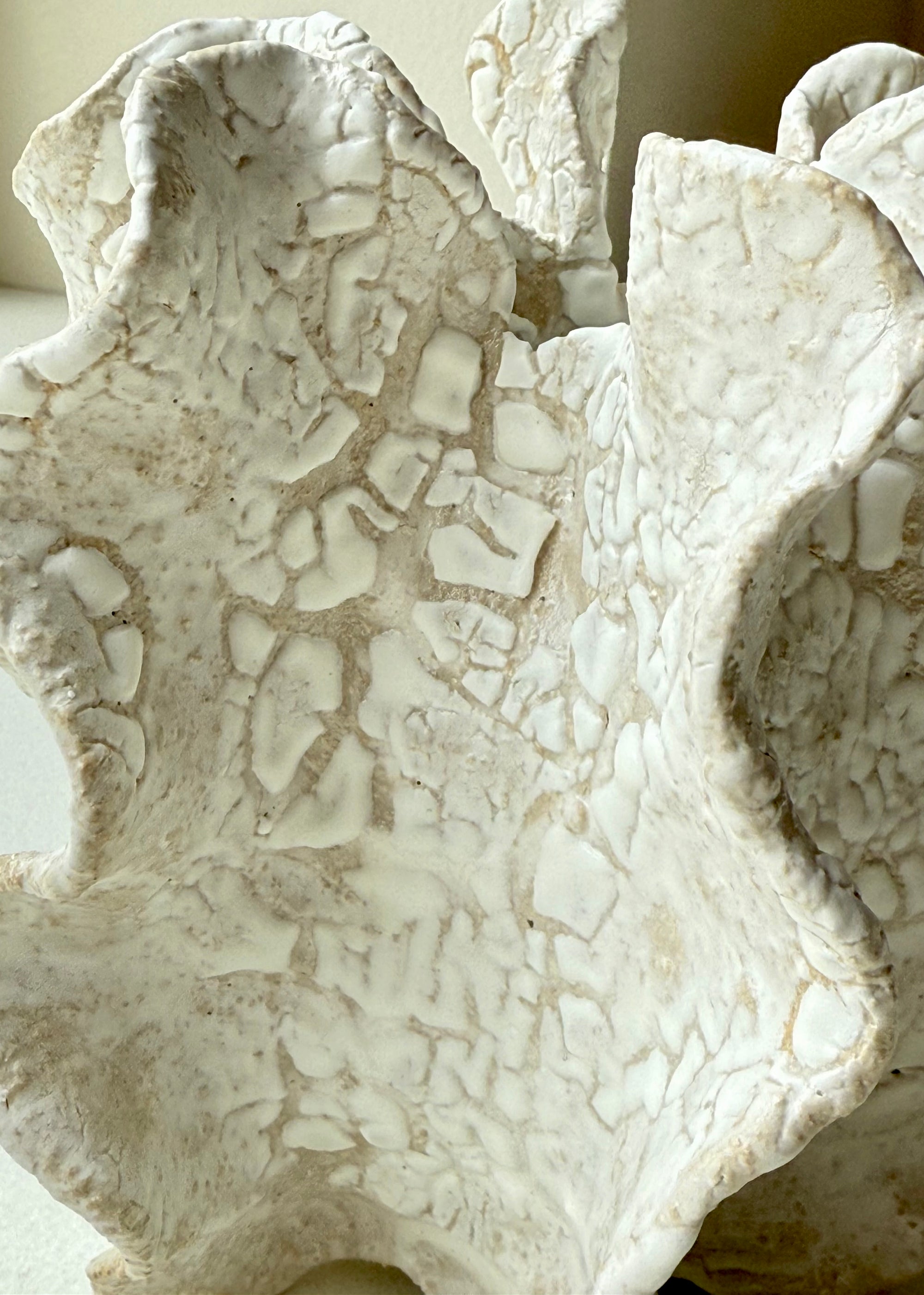 Clay by Bond Sculpture
