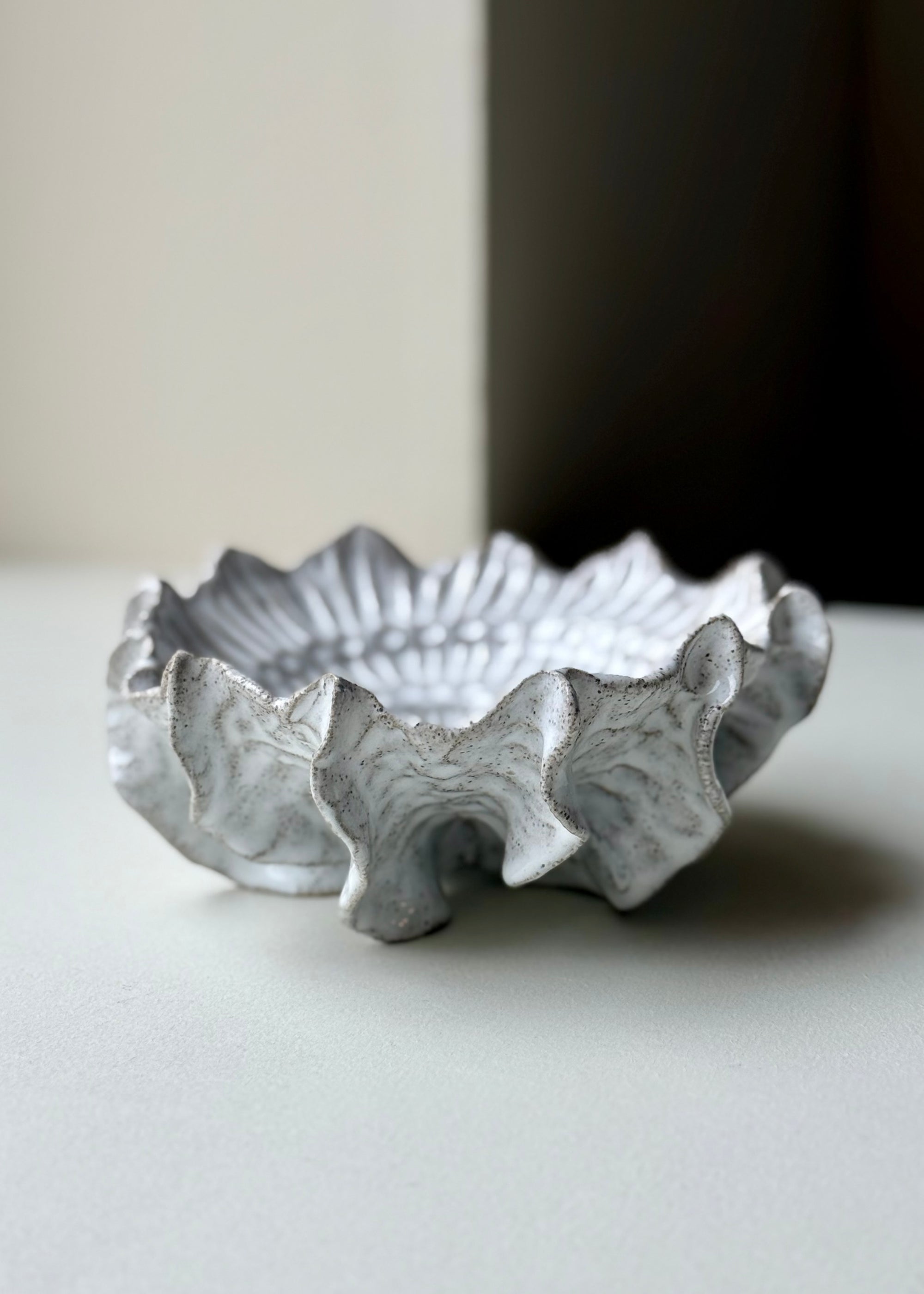 Clay by Bond - Ammonite bowl