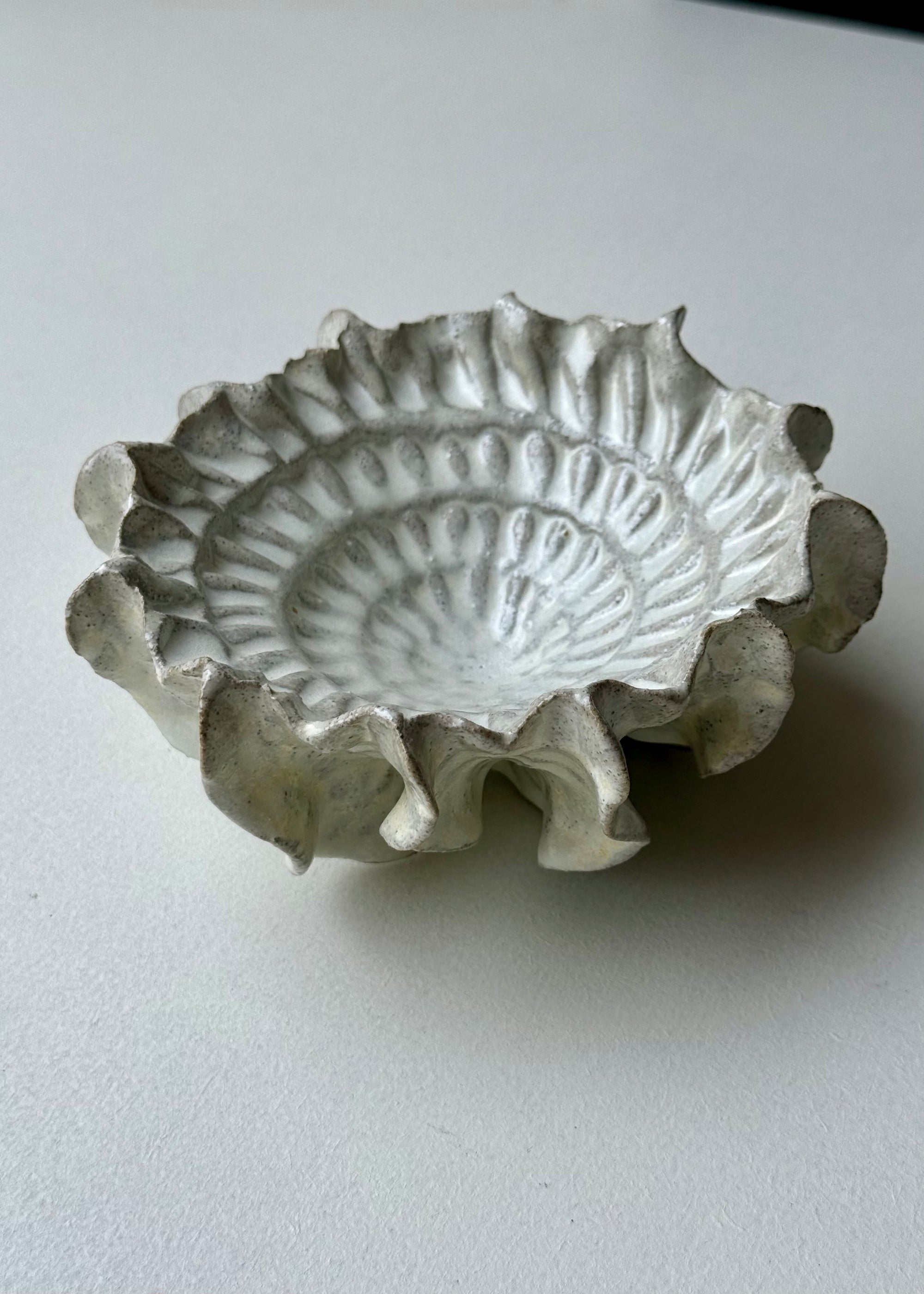 Clay by Bond - Ammonite bowl
