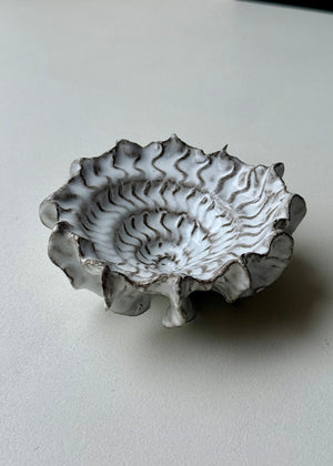 Clay by Bond - Ammonite bowl