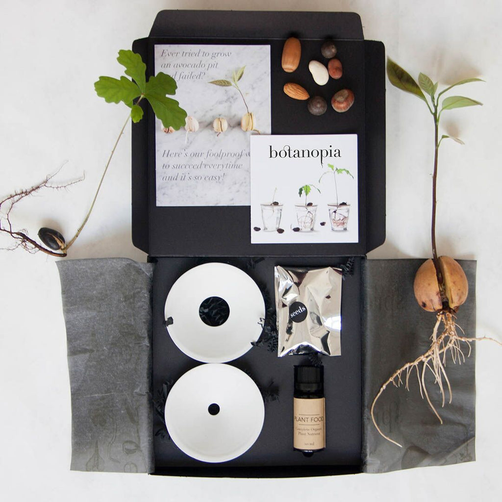 Deluxe Germination Gift set